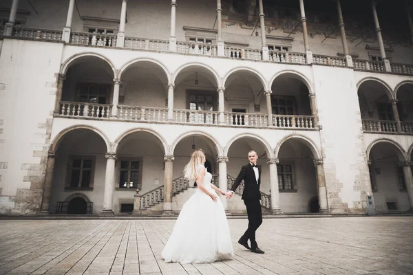 Casal perfeito noiva, noivo posando e beijando em seu dia do casamento — Fotografia de Stock