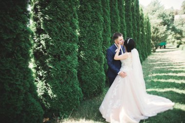 Parkta kucaklaşan yeni evli çiftin güzel romantik düğünü.