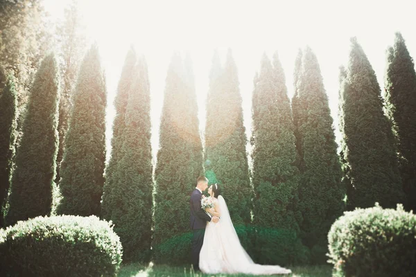 Casal romântico bonito casal de recém-casados abraçando no parque — Fotografia de Stock