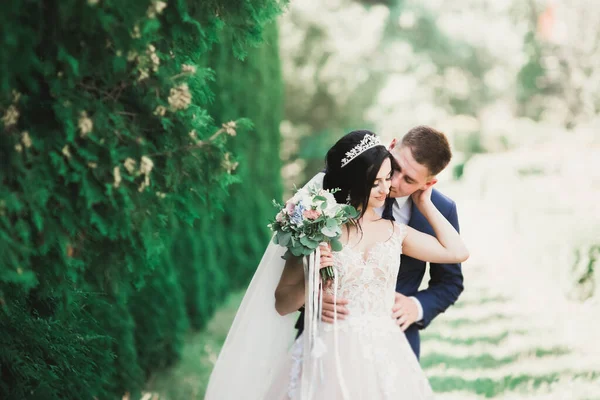 Elegante pareja de recién casados felices caminando en el parque el día de su boda con ramo —  Fotos de Stock