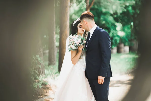 Elegante coppia di sposi felici che passeggiano nel parco il giorno del loro matrimonio con bouquet — Foto Stock