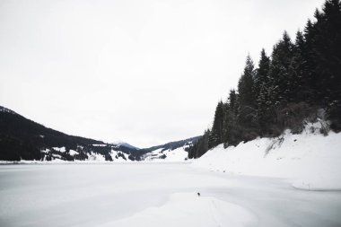 Güzel kış harikalar diyarı Alplerinde ağaçlar ve dağ tepeleri olan