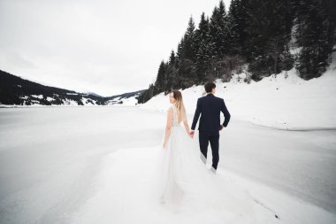 Arkaya bakan romantik genç çift, göller ve kış dağları