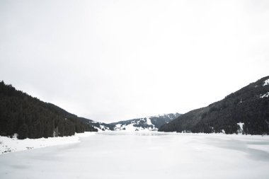 Güzel kış harikalar diyarı Alplerinde ağaçlar ve dağ tepeleri olan