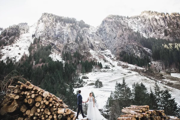 Pareja de boda cogidos de la mano, novio y novia juntos en el día de la boda —  Fotos de Stock