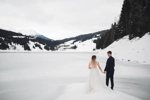 Pareja de boda cogidos de la mano, novio y novia juntos en el día de la boda —  Fotos de Stock