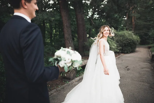 Romantique, conte de fées, couple de jeunes mariés heureux embrassant et embrassant dans un parc, arbres en arrière-plan — Photo