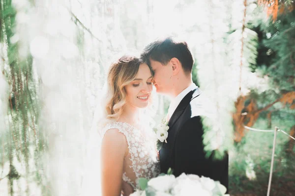 Romántico, cuento de hadas, feliz pareja recién casada abrazándose y besándose en un parque, árboles en el fondo —  Fotos de Stock