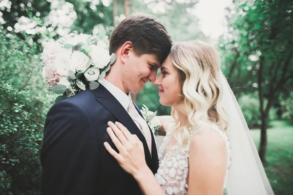 Romántico, cuento de hadas, feliz pareja recién casada abrazándose y besándose en un parque, árboles en el fondo —  Fotos de Stock