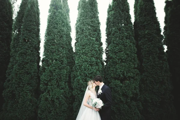 ロマンチックでおとぎ話、幸せな新婚カップル抱擁と公園でキス、背景の木 — ストック写真