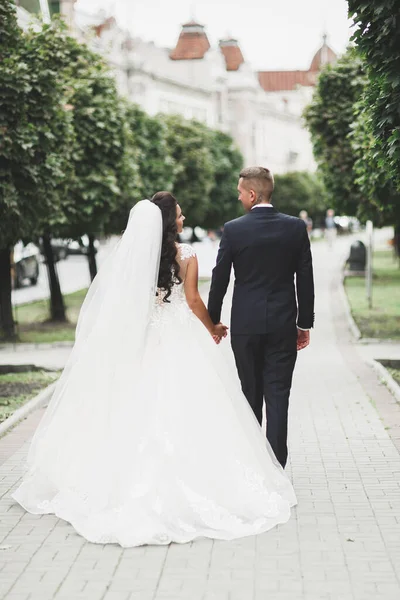 Mooie bruid en bruidegom omarmen en kussen op hun trouwdag — Stockfoto