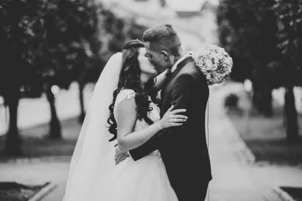 Lovely happy wedding couple, bride with long white dress — Stock Photo, Image