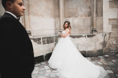 Mükemmel bir çift gelin ve damat düğün günlerinde poz verip öpüşürler.