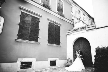 Mükemmel bir çift gelin ve damat düğün günlerinde poz verip öpüşürler.