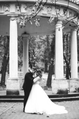 Mükemmel bir çift gelin ve damat düğün günlerinde poz verip öpüşürler.