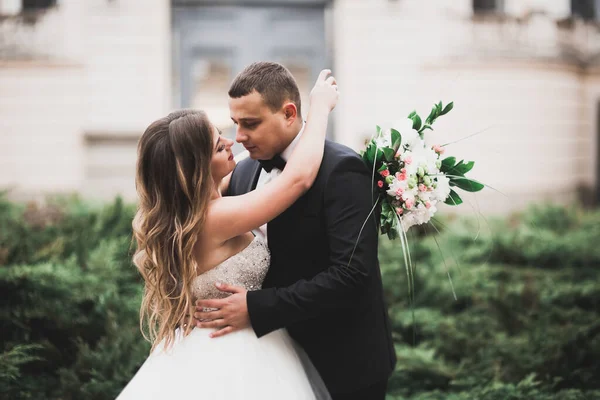 Coppia perfetta sposa, sposo posa e baci nel loro giorno del matrimonio — Foto Stock