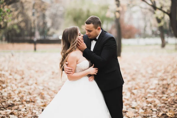 Coppia perfetta sposa, sposo posa e baci nel loro giorno del matrimonio — Foto Stock