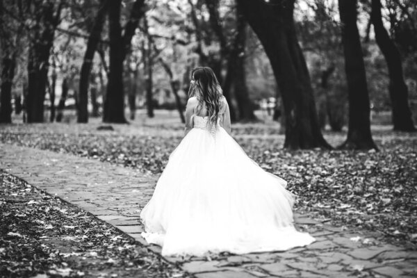 Beautiful bride posing in wedding dress outdoors.