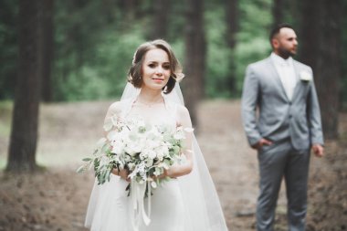 Güzel gelin ve damat düğün günlerinde kucaklaşıp öpüşürler.