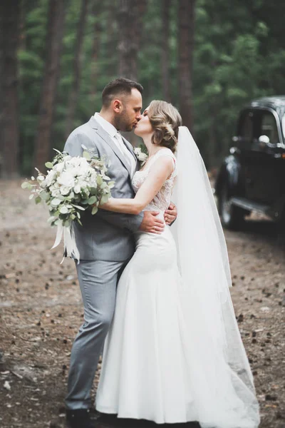 Romântico, conto de fadas, feliz casal recém-casado abraçando e beijando em um parque, árvores no fundo — Fotografia de Stock