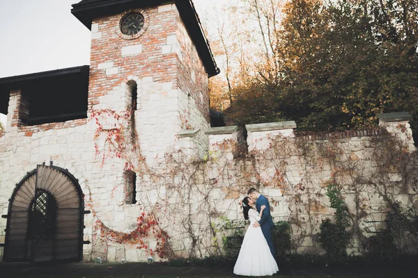 Casal perfeito noiva, noivo posando e beijando em seu dia do casamento — Fotografia de Stock