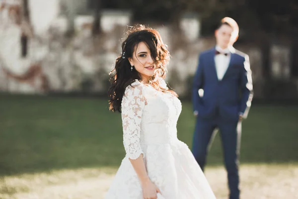 Casal perfeito noiva, noivo posando e beijando em seu dia do casamento — Fotografia de Stock