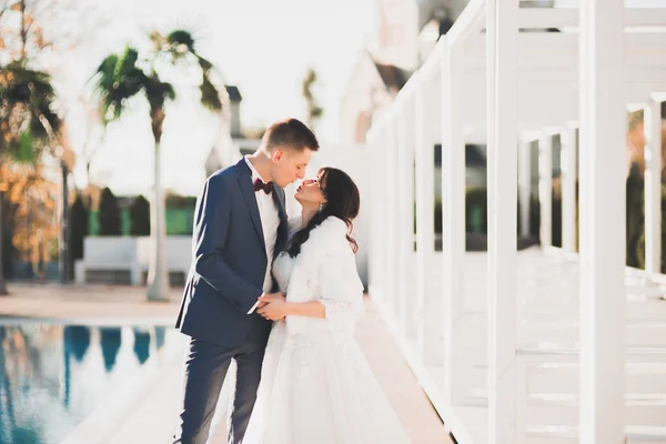 Boda pareja novia y novio de la mano — Foto de Stock