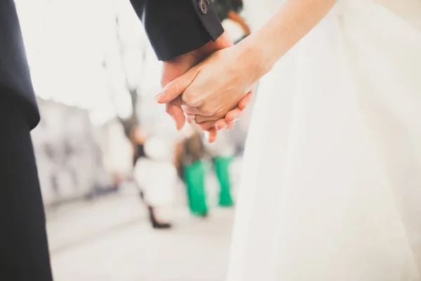 Весільна пара наречена і наречена тримаються за руки — стокове фото