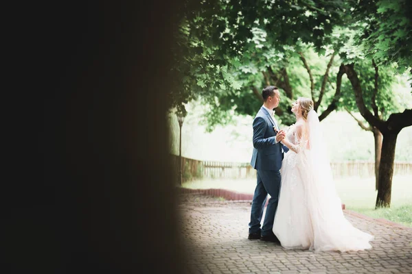 Belle mariée et marié embrasser et embrasser le jour de leur mariage à l'extérieur — Photo