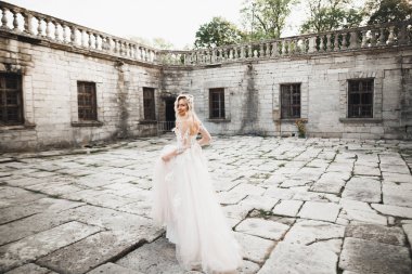 Gelinin güzel portresi moda gelinliği içinde tüylü, lüks makyaj ve saç stili.