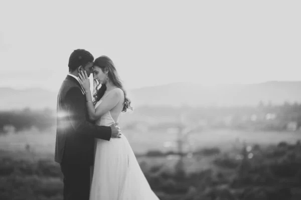 Momento de boda romántico, pareja de recién casados sonriendo retrato, novia y novio abrazándose —  Fotos de Stock