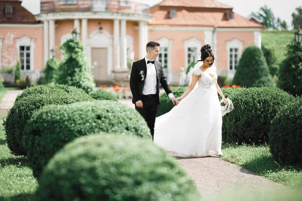 Bela noiva e noivo abraçando e beijando em seu dia de casamento ao ar livre — Fotografia de Stock