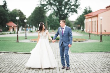 Düğün günü el ele tutuşan çift, damat ve gelin.