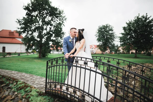 Romantický svatební okamžik, pár novomanželů, usmívající se portrét, objímání nevěsty a ženicha — Stock fotografie