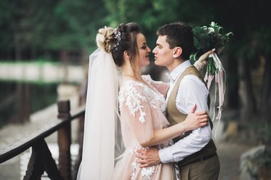 Romantik düğün anı, yeni evli çiftin gülümseyen portresi, gelin ve damadın kucaklaşması