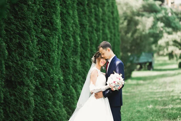 Hochzeitspaar in der Natur umarmt sich. Schöne Modell Mädchen in weißem Kleid. Mann im Anzug — Stockfoto