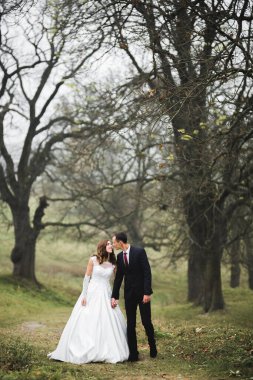 Botanik parkında yürüyen mutlu bir çift.