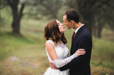 Romantik, peri masalı, mutlu yeni evli çift parkta sarılıp öpüşüyor, arka planda ağaçlar...