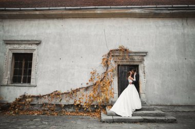 Güzel gelin ve damat evlendikleri gün kucaklaşıp öpüşüyorlar.