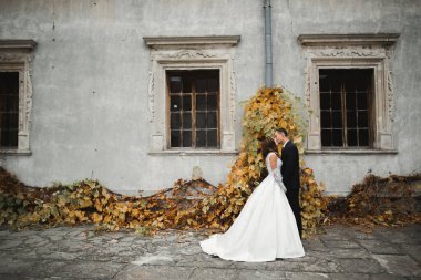 Güzel gelin ve damat düğün günlerinde kucaklaşıp öpüşürler.