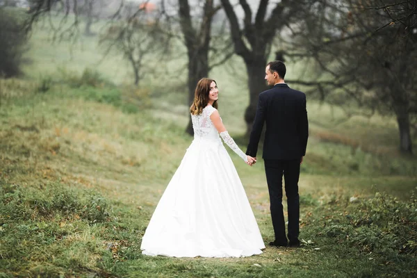 Hochzeitspaar hält Händchen, Bräutigam und Braut am Hochzeitstag zusammen — Stockfoto