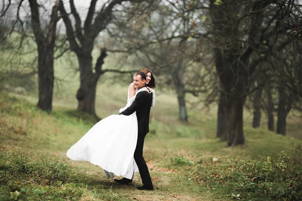 Romântico, conto de fadas, feliz casal recém-casado abraçando e beijando em um parque, árvores no fundo — Fotografia de Stock