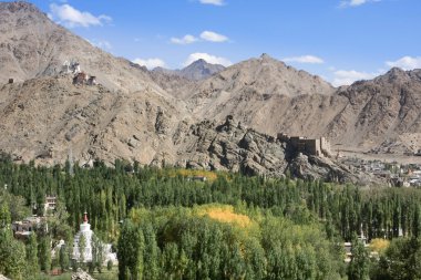 Budist manastır himalaya Dağları, Ladakh, Hindistan