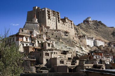 Leh palace, Ladakh, Hindistan