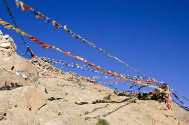 Budist dua bayrakları, Ladakh, Hindistan