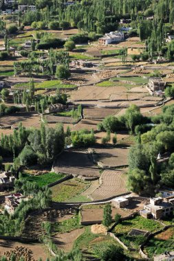 Leh şehir Yeşil Vadi Manzaralı, Ladakh, Hindistan.