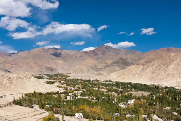 Panorama verde de la ciudad de Leh, Ladakh, India. — Foto de Stock