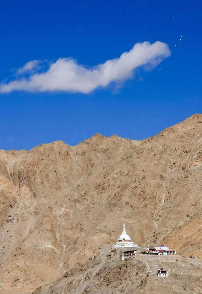 Pagoda de la Paz Mundial, ciudad de Leh, Ladakh, India —  Fotos de Stock