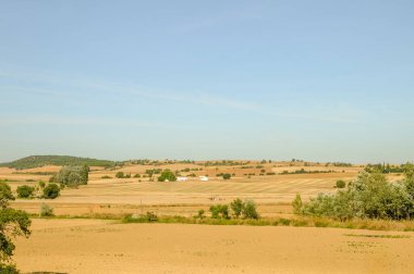 Yazın İspanya 'da saman tarlası manzarası.