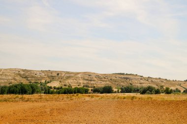 İspanya 'nın arka planında ağaçlar ve tepeler olan tarım arazisi.